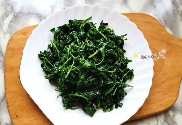 枸杞芽怎么做好吃-枸杞芽的做法8