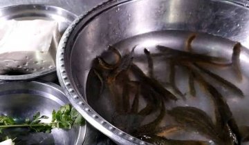 泥鳅炖豆腐怎么做-泥鳅炖豆腐的做法2