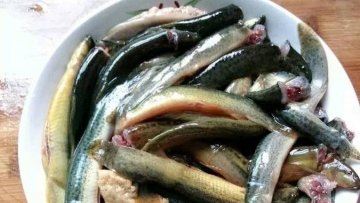 泥鳅炖豆腐怎么做-泥鳅炖豆腐的做法3