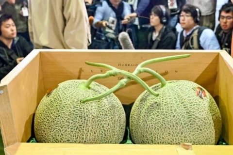 盘点世界6大最贵的食物3