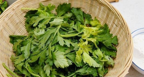 芹菜叶子能吃吗-芹菜叶子怎么做5