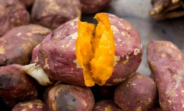 白心和红心红薯哪个好-白心红薯和红心红薯的区别7