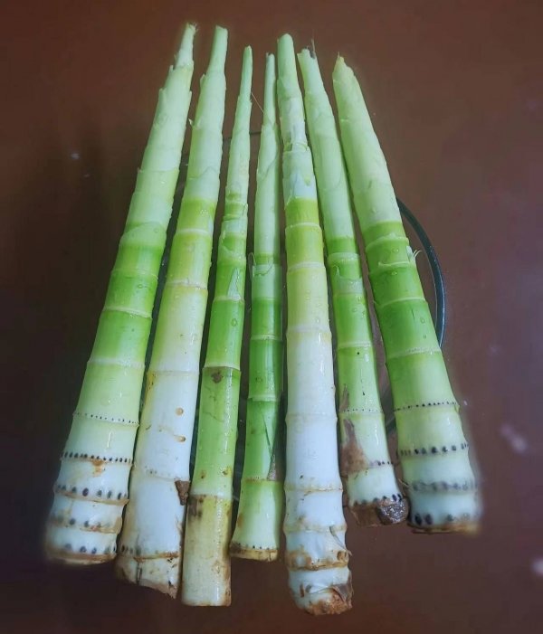 春笋怎么做好吃-春笋的做法大全2