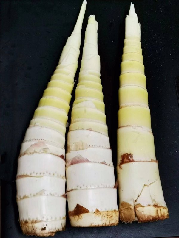 春笋怎么做好吃-春笋的做法大全3