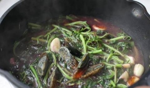上汤苋菜怎么做好吃-上汤苋菜皮蛋的做法10