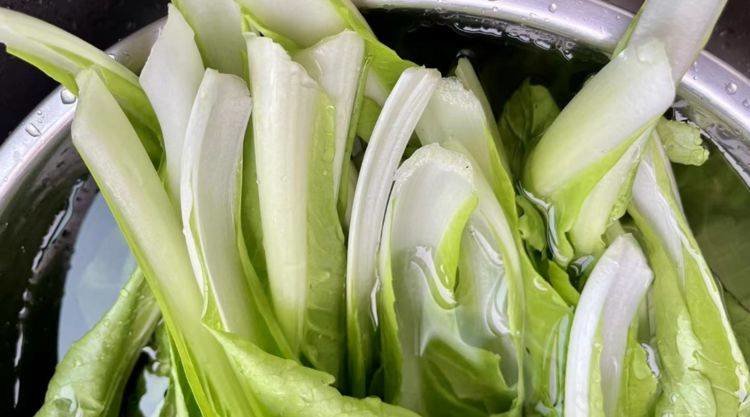 快手菜有哪些？快菜怎么种植快？5