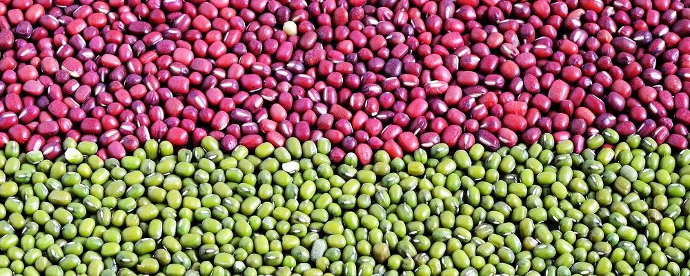 红豆绿豆减肥法有用吗？怎么吃红豆绿豆能减肥？2