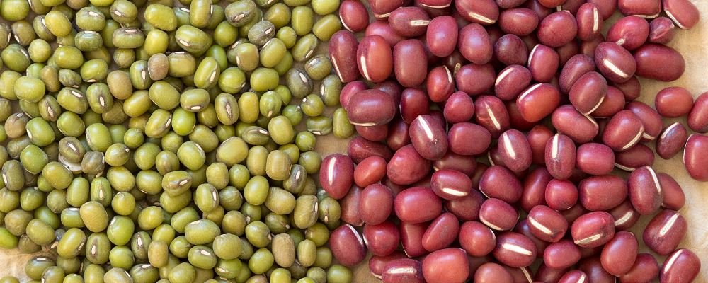 红豆绿豆减肥法有用吗？怎么吃红豆绿豆能减肥？3