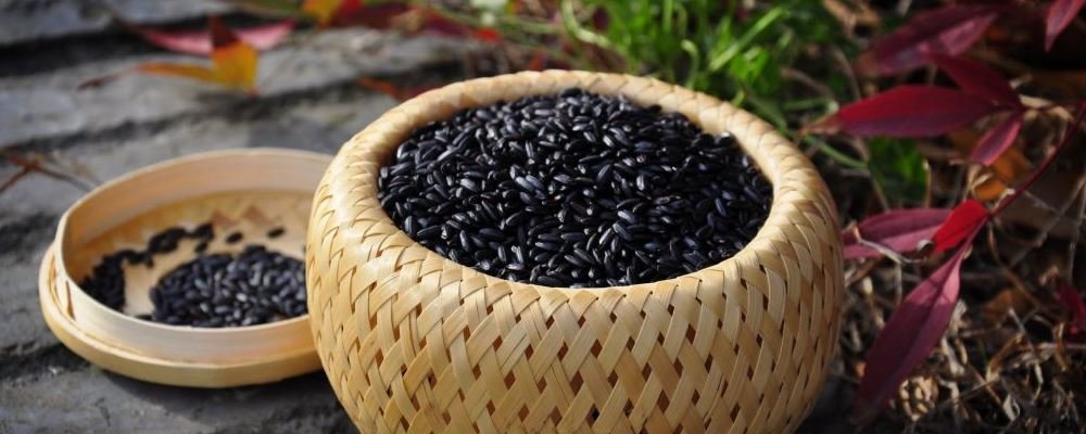 一周黑米减肥法-黑米脂肪低纤维多1