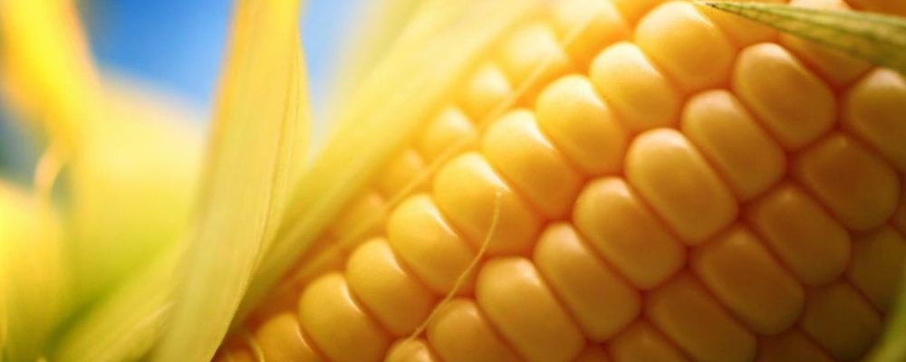 选好主食也能帮助减肥 ：什么主食可以帮助减肥？1