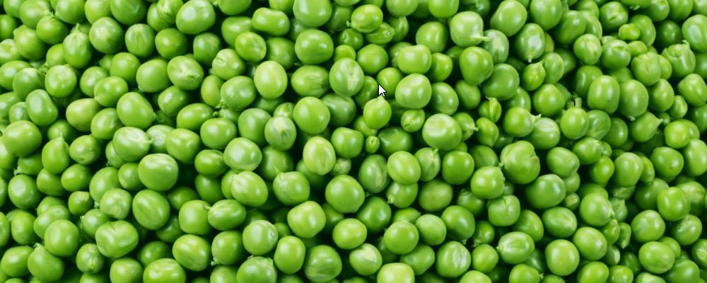 选好主食也能帮助减肥 ：什么主食可以帮助减肥？3