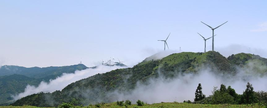 广西玉林龙泉湖生态园景点介绍2