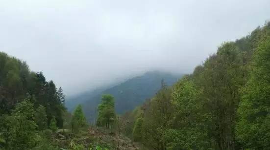 广西钦州六万大山景点介绍1