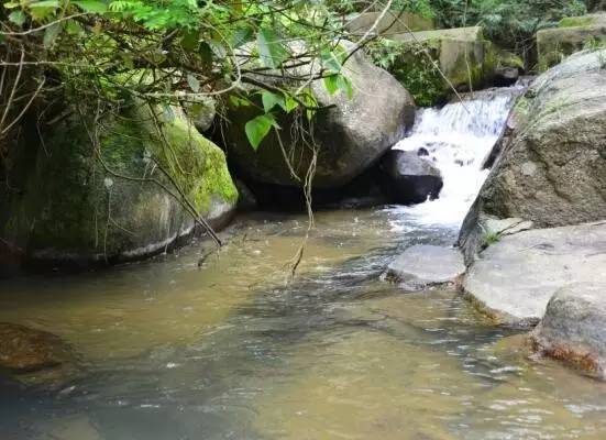 广西钦州六万大山景点介绍2
