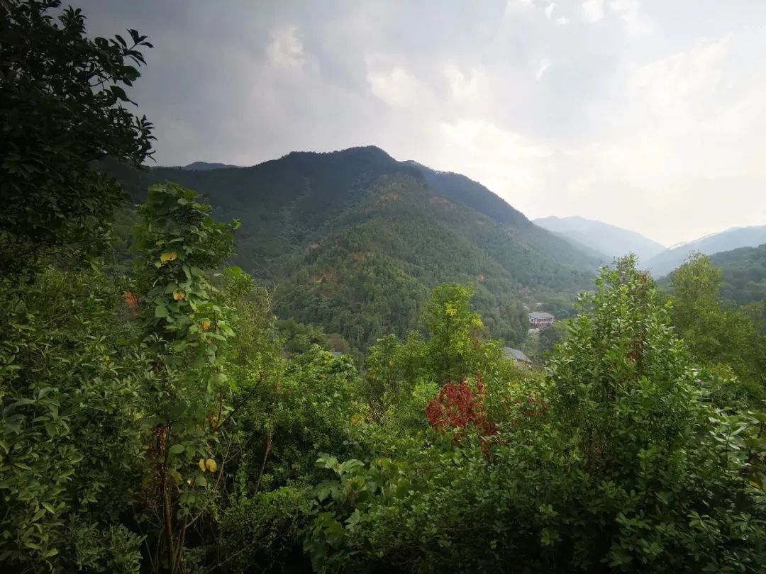 广西六万大山森林公园景点介绍1