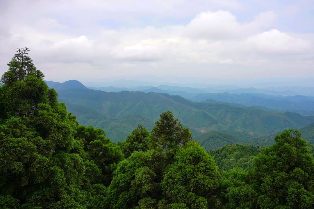 广西六万大山森林公园景点介绍2