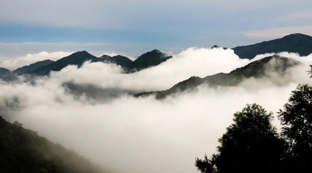 广西六万大山森林公园景点介绍3