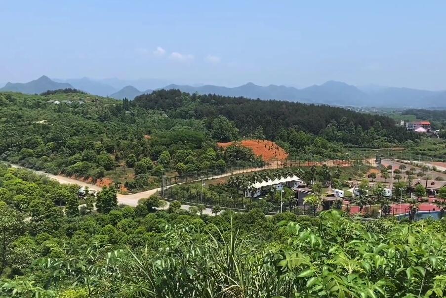 湖南娄底泽宏生态园景点介绍1