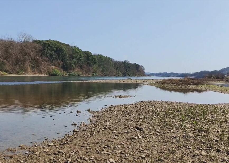 湖南衡阳江口鸟洲自然保护区景点介绍1