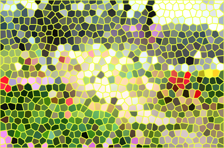 湖南岳阳龙山花卉植物园景点介绍1