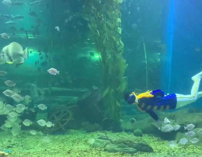 湖南娄底海立方海洋公园景点介绍1