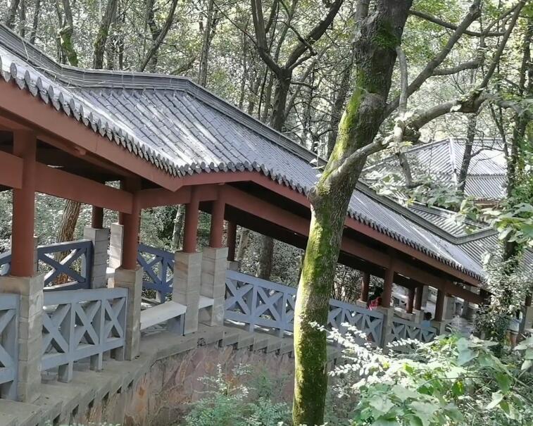 湖南长沙岳麓山观光长廊景点介绍1