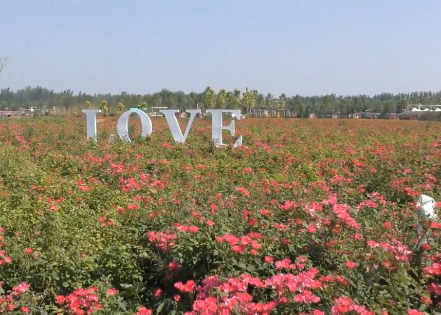 湖南郴州长成温泉水上乐园景点介绍1