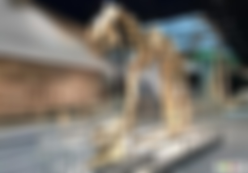 湖北武汉武汉自然博物馆景点介绍1