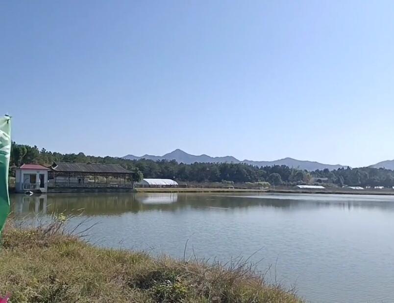 湖南岳阳天井山森林公园景点介绍1