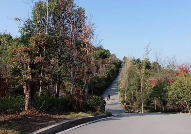 湖南衡阳砚池山公园景点介绍1