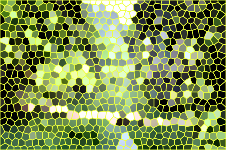 湖南邵阳同乐坪水库景点介绍1