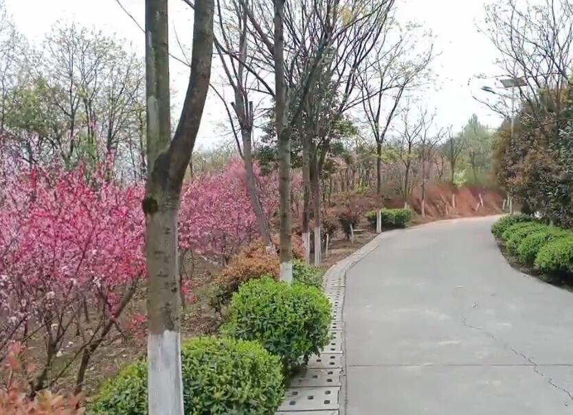 湖南郴州金紫仙风景区景点介绍1