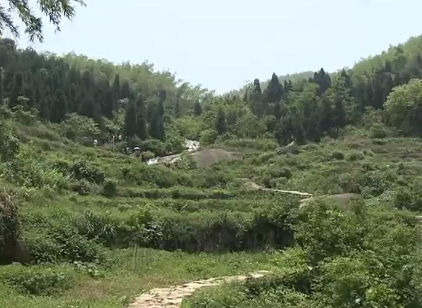 湖南株洲大京风景区景点介绍1