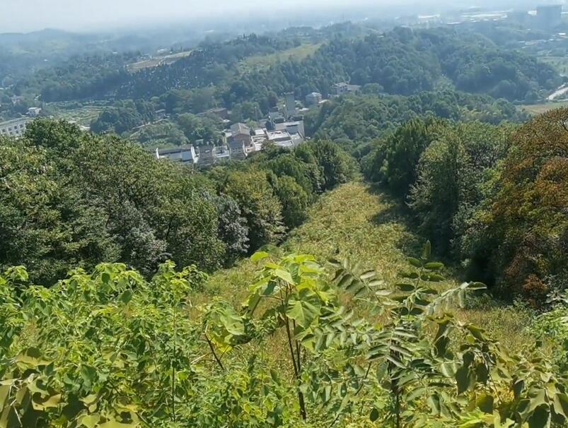 湖南株洲凤凰山公园景点介绍1