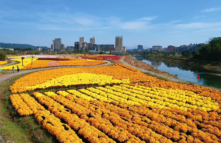 湖南岳阳桃林菊花博览园景点介绍1