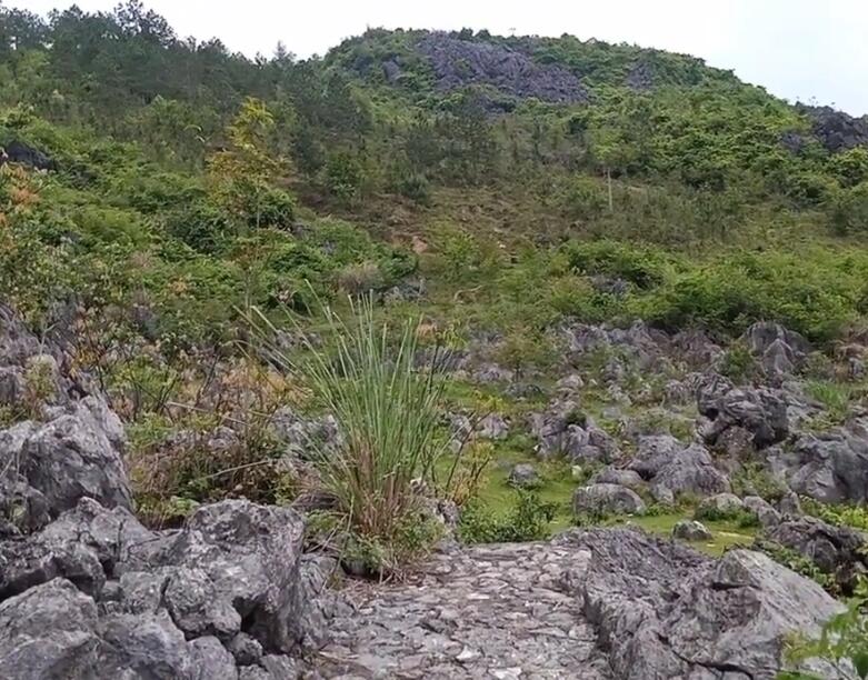 湖南衡阳天堂湖风景区景点介绍1