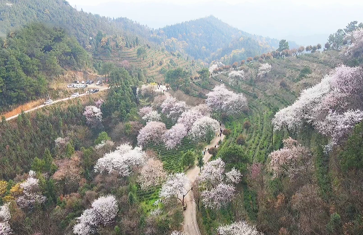 湖南怀化飞山寨景点介绍1