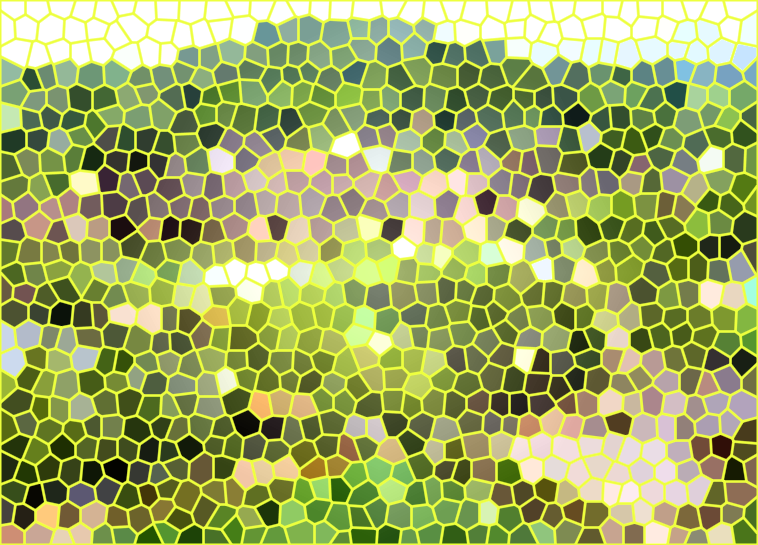 湖南长沙墨庄博物馆景点介绍1