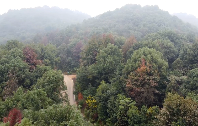 湖南长沙乌山森林公园景点介绍1