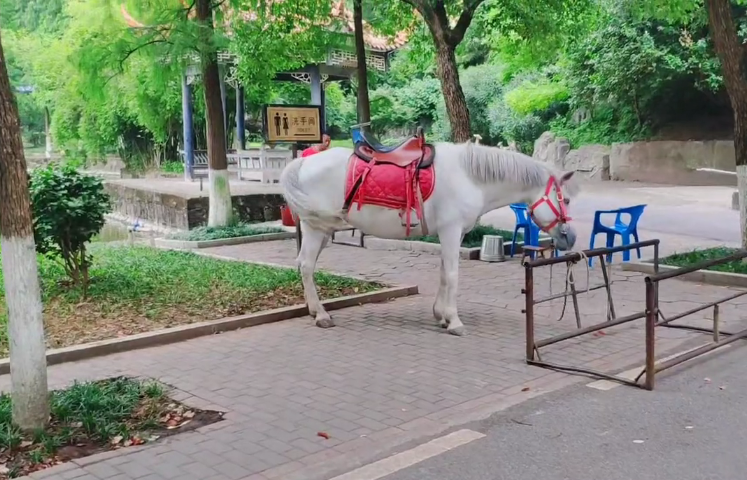 湖南衡阳衡阳动物园景点介绍1