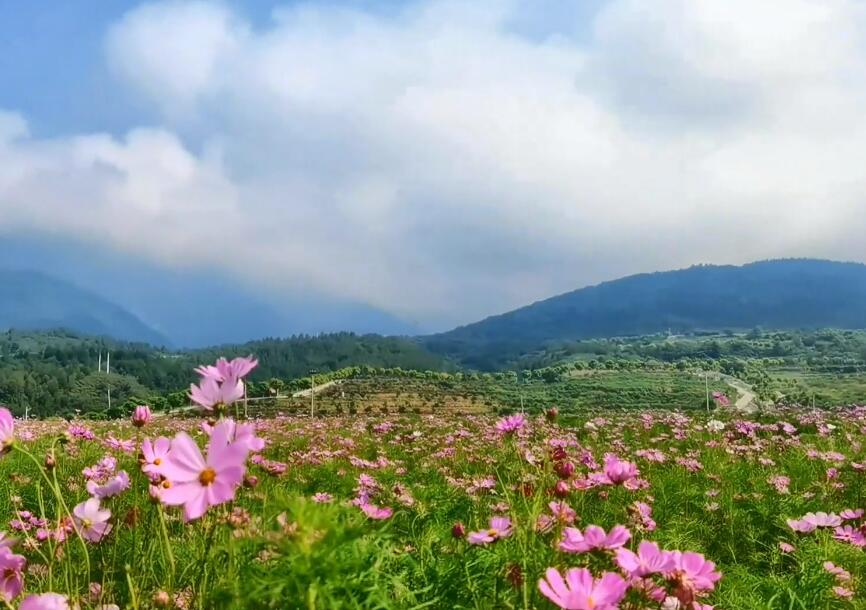 湖南湘西边城茶峒古镇景点介绍1