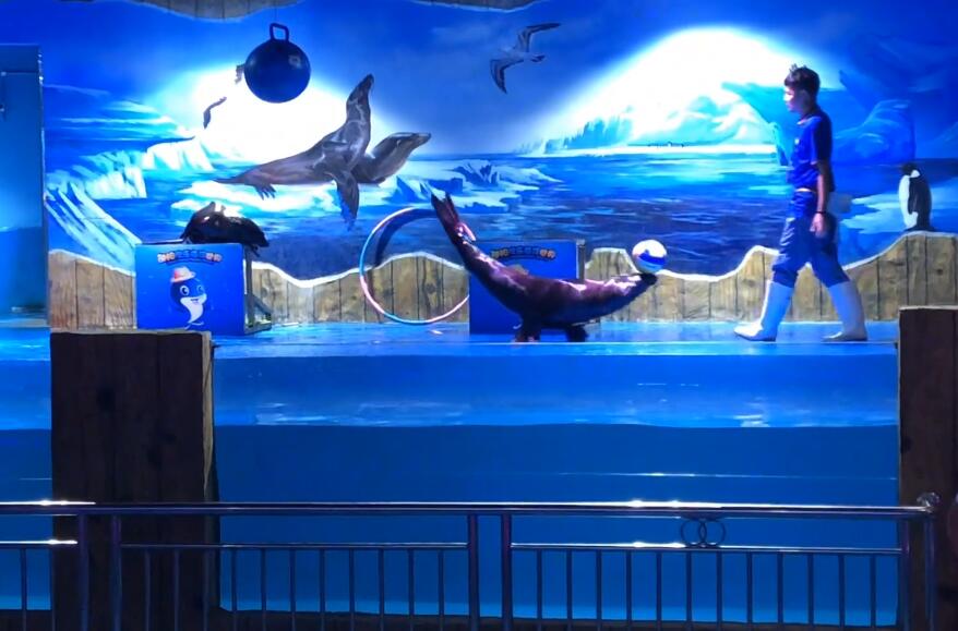 湖南邵阳欢乐海洋世界景点介绍1