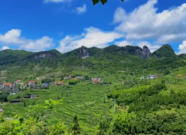 湖南常德金牛山风景区景点介绍1