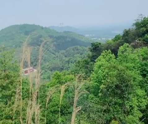 湖南常德金牛山风景区景点介绍5
