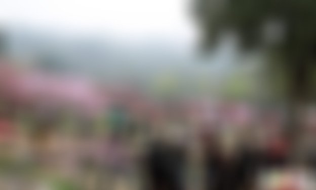 湖北宜昌西陵峡桃花村景点介绍1