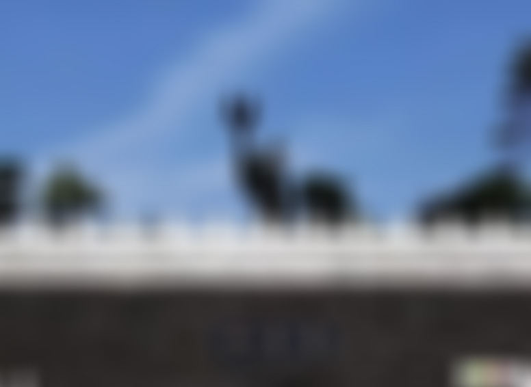 湖北武汉放鹰台遗址景点介绍1