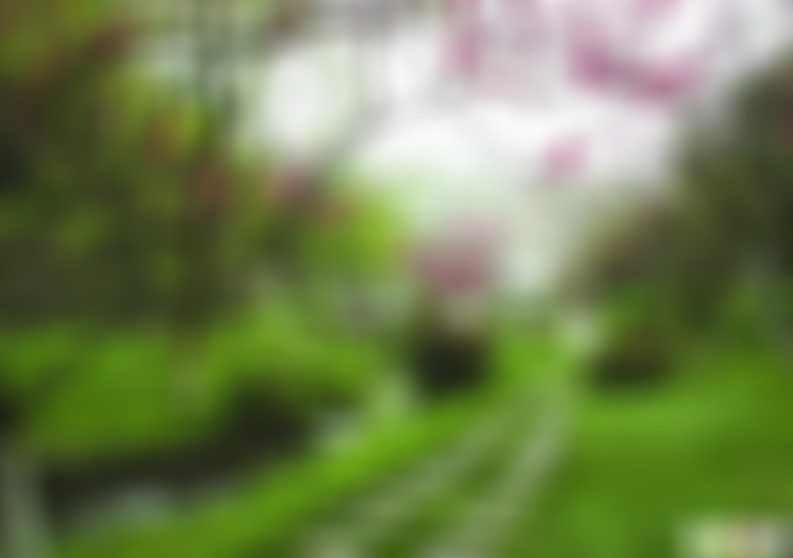 湖北武汉园林科普公园景点介绍1