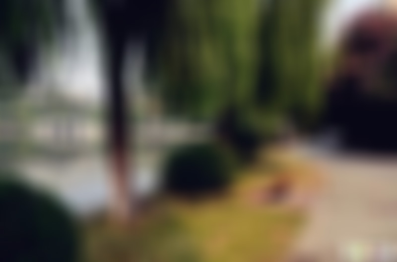 湖北武汉洪山公园景点介绍1