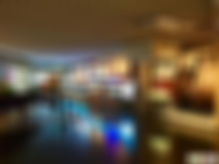 湖北武汉东湖湖光阁景点介绍1