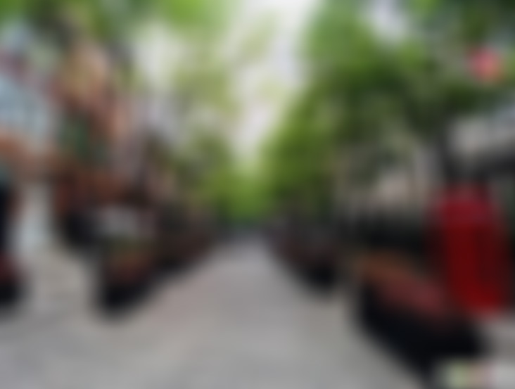 湖北武汉黎黄陂路街头博物馆景点介绍1